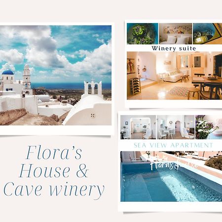 Flora'S House & Cave Winery Villa Pyrgos Kallistis Luaran gambar