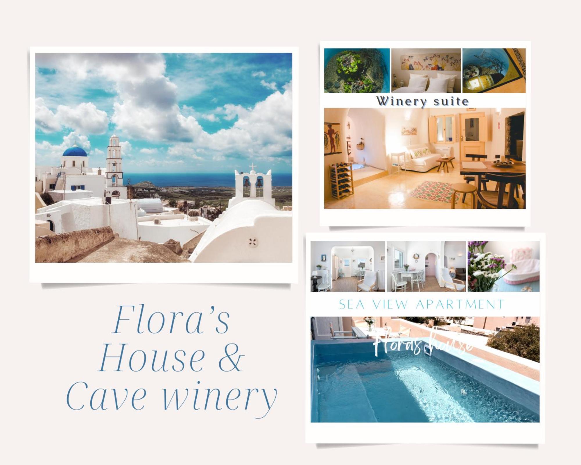 Flora'S House & Cave Winery Villa Pyrgos Kallistis Luaran gambar